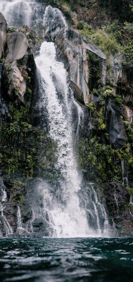 小红帽的冒险之旅